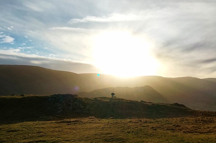 hallin_fell_2025_008