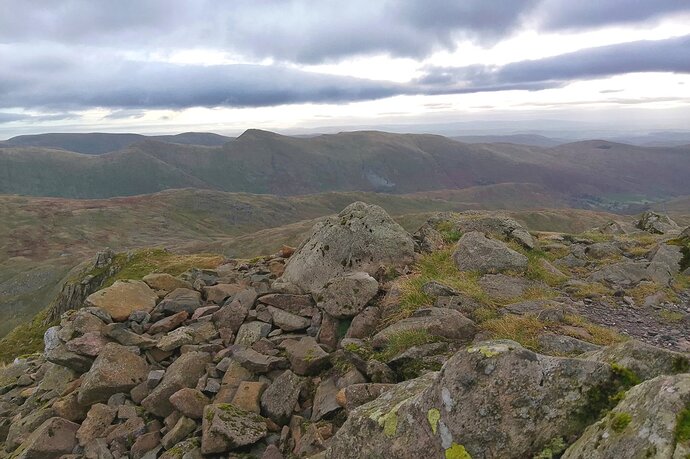 red_screes_2025 (9)