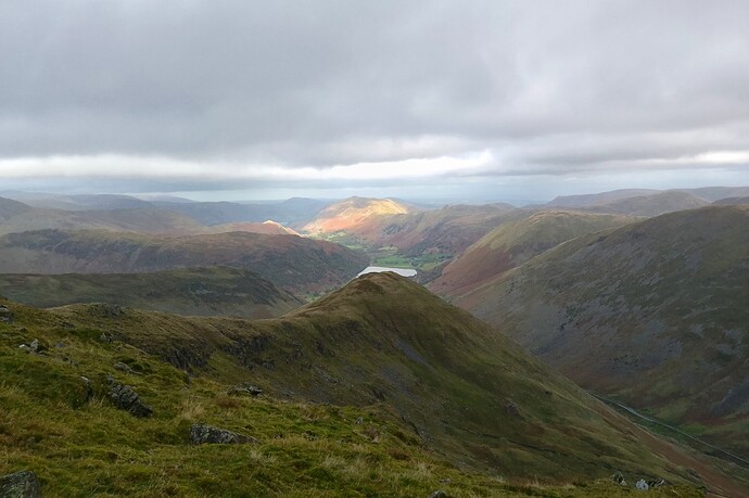 red_screes_2025 (25)