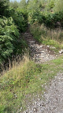 2022-0821 LDO-084 Staveley Fell - Path Up 1