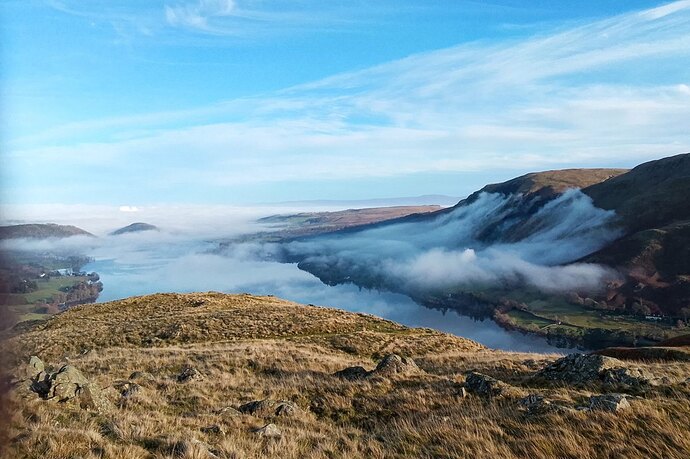 hallin_fell_2025 (2)