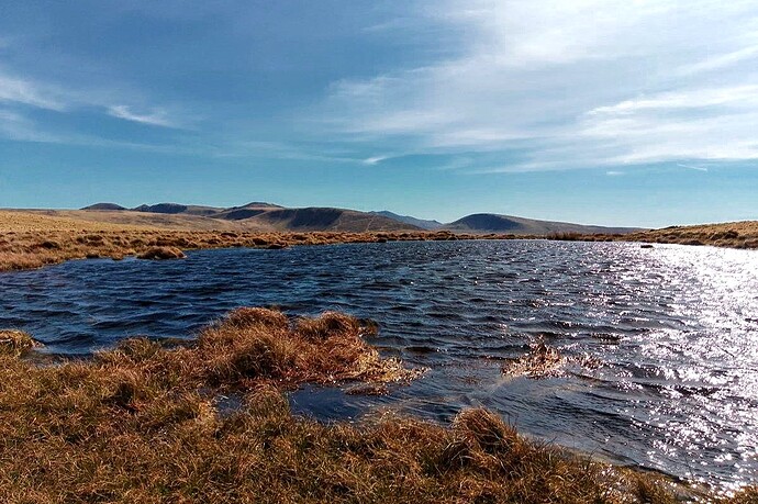lank_rigg_2026 (13)