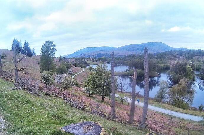 black_fell_2025 (2)
