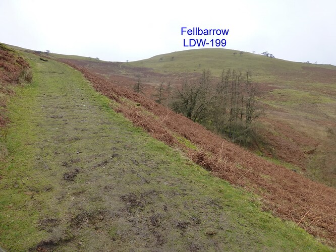 020 Low fell & Fellbarrow 01-03-2023 11-05-38 _resize