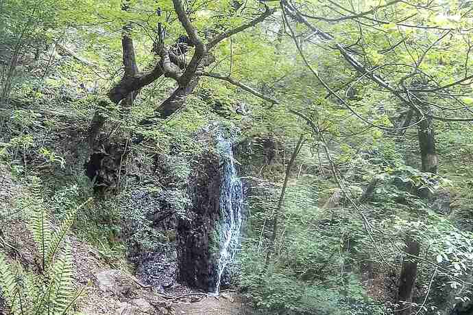 black_fell_2025 (7)