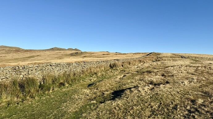 B8E544BA-A07B-4012-B0D2-D0B7EFDD1FD5_1_105_c