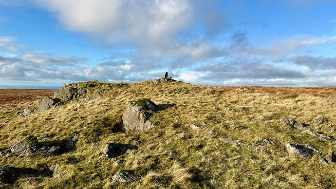 9642E2D5-B4D7-4CCC-8FBE-3F8647CBF982_1_102_a