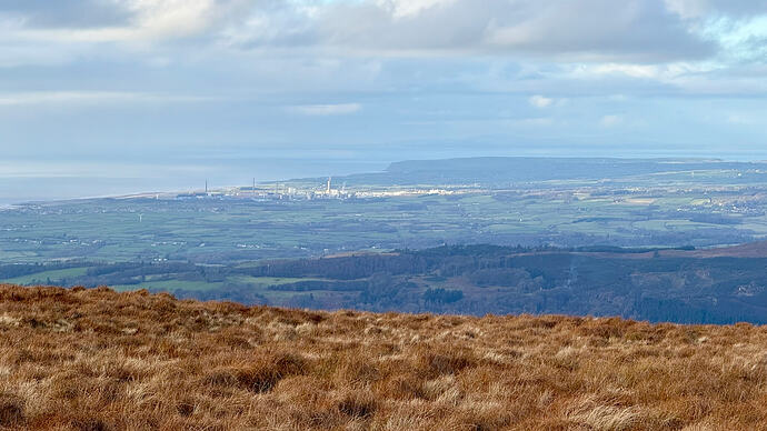 2953D2AA-F969-4D16-A923-A373FABA7A00_1_102_a