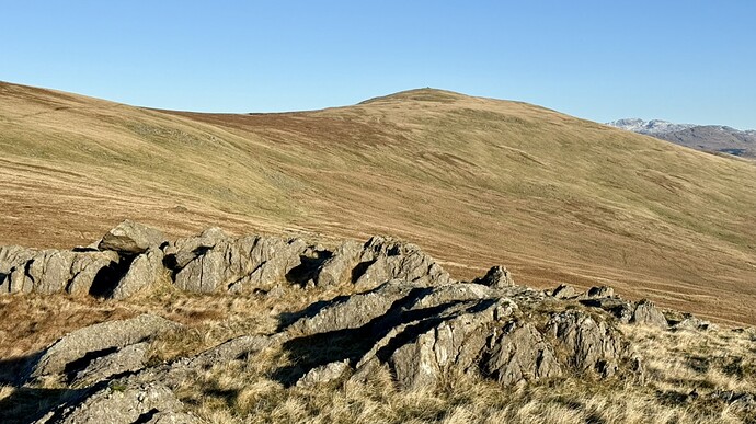 5898A5BC-19BB-455F-ADD2-7D6EFB9E706E_1_105_c