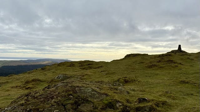 EA925FDE-22B1-4321-8F9C-67E208D5D0DC_4_5005_c