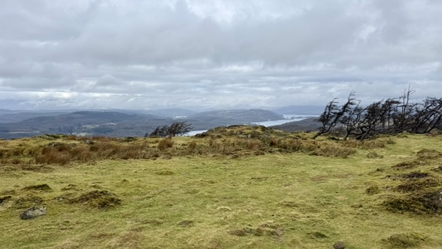 E7983F0D-7CD0-43F1-A41F-649DE82956E3_4_5005_c